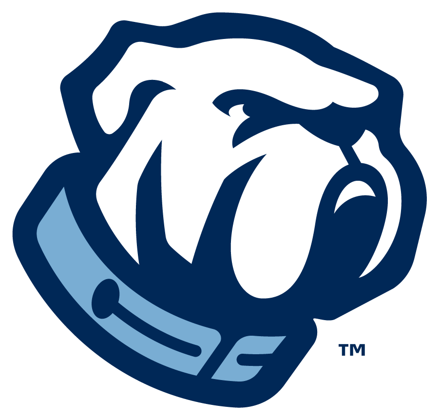 The Citadel Bulldogs 2021-Pres Secondary Logo DIY iron on transfer (heat transfer)